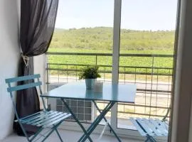 Charming apartment with mountain view in Francàs - 45m²