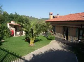 Comfortable house in Sotoserrano with mountain view
