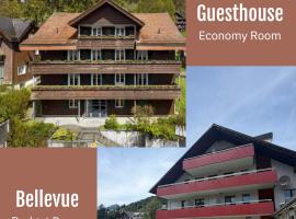 Hirschen Guesthouse - Village Hotel, готель у місті Вільдхаус