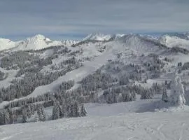 Studio cosy à Les Gets 25 m² avec vue montagne
