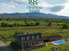 Chateau Resse, hôtel à Telavi