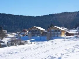 Appartement accueillant à Xonrupt-Longemer 70 m² avec jardin privatif