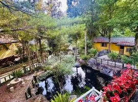 山蘇的故鄉-森林溪秘境桃園市民宿130號