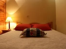 Cosy apartment in Seia, 25 sqm, welcoming fireplace