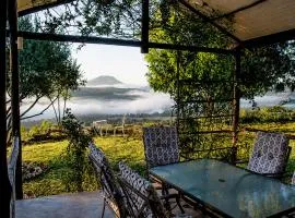 OPPIBERG GUEST HOUSE and SPA