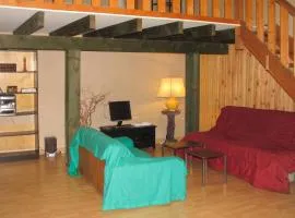 Studio confortable près de Beaumont-du-Périgord, 60 m², cheminée