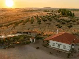 Casa De Campo Das Oliveiras