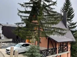 Vikendica Hills Vlašić