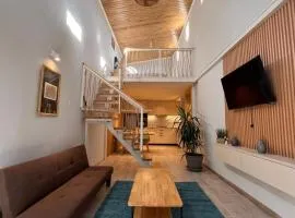 Aconcagua Urban Loft
