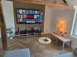 Appartement situé en hyper centre à coté du Moulin