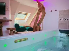 Domaine de la Besnerie Gites avec SPA Privatif à 10 min du Mont St Michel