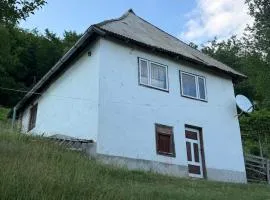 112 Year Old Heritage Home-Mountain Views- Goražde