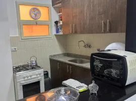 المستقبل الشيخ زايد