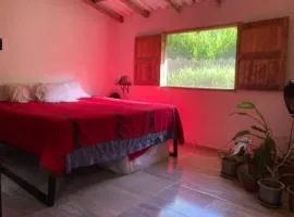 Casa Cascada donde la paz cae como agua