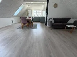 Moderne lejlighed med egen indgang nær Vejle