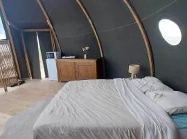 bulle