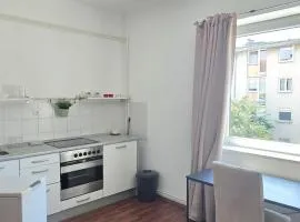 Cozy apartment in the center
