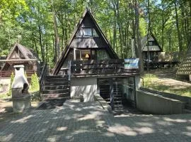 Domek nad Jeziorem Skorzęcin