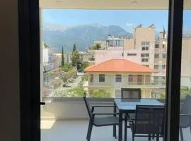 Το Λακωνίζειν