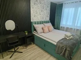 Apartament Parkowy Kaliska