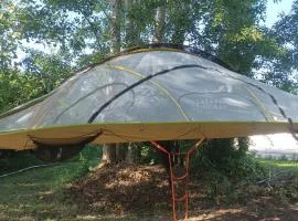 Tree Tent Bratislava