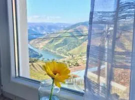 Douro Modern & River Vineyard Views