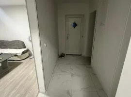 Apartman Godzila