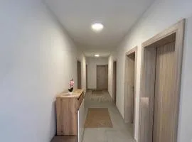 Apartman Šarenac