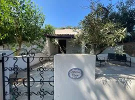 Casa Pippo
