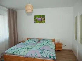 Apartament Joanna
