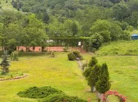 Casa Padurii Slanic Prahova