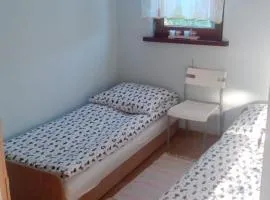 Domki letniskowe Bory Tucholskie