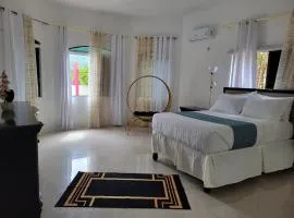 Zee Cameron an exquisite house with modern decor