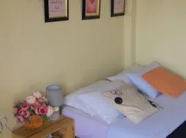 Shan cozy haven