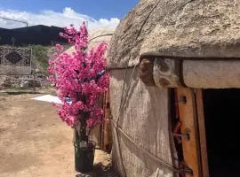 Almani yurt camp