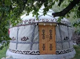 40 Rays Yurts