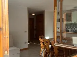Appartamento vicino alle piste