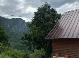 Tomas Guesthouse