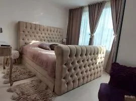 Room near Rotterdam offered by Maashouse