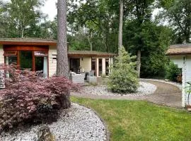 Bosrijk Vijverhuisje op de Veluwe met Zwembad!