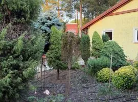 Zajecza Zagroda - Miastko, jezioro Lincjusz, sad i las