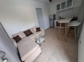 Acogedor Departamento Entero