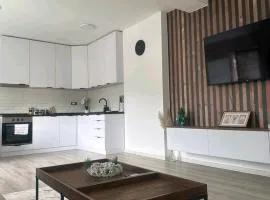 Apartman Centar-moderan dvosoban stan u centru