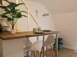 Le Nid Saint Arigle - Centre ville Nevers