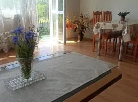 Zielony Azyl obszerny apartament z balkonem i garazem