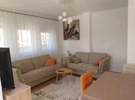 Scandinavian Modern Apartment Prishtina