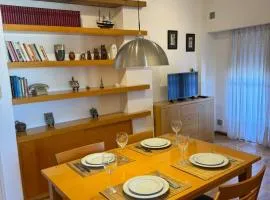 DPTO completo zona Centro-Sur