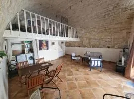 50 m2 loft with vaulted ceilings center of Montpellier