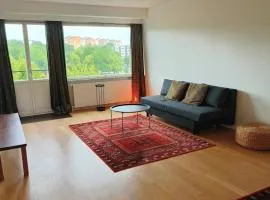 Apartment with a view of the Aura River