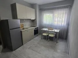 Irina's Apartment 8